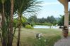 Villa in Salernes - Pati Panor : splendid holidays villa with air con, pool, tennis & jacuzzi