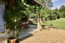 House in Cotignac - Les 2 Palmiers :6 to 10 Family holidays in Provence