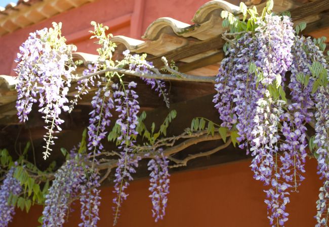 House in Cotignac - Les Valérianes, holidays home in Provence with private pool House in Cotignac - Les Valérianes, holidays home in Provence with private pool