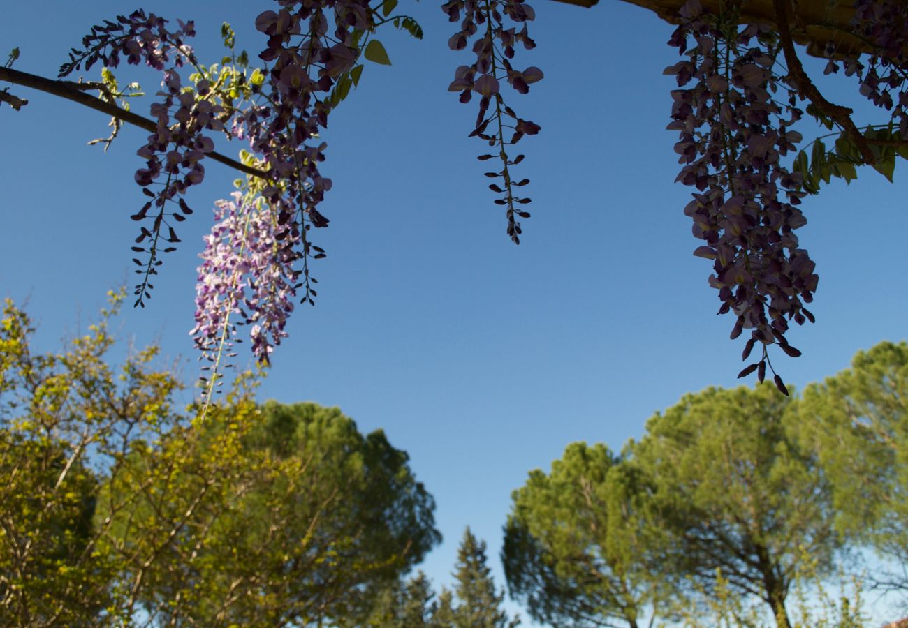 House in Cotignac - Les Valérianes, holidays home in Provence with private pool House in Cotignac - Les Valérianes, holidays home in Provence with private pool