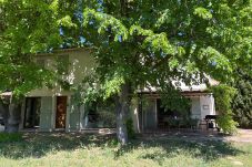 House in Cotignac - La Ralaye : peaceful close to shops and restaurants