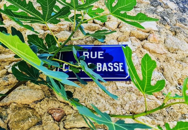 House in Cotignac - La Belle Etoile : private garden and terrace with exceptional setting House in Cotignac - La Belle Etoile : private garden and terrace with exceptional setting