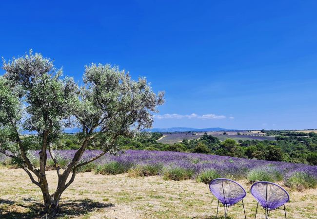 House in Cotignac - La Belle Etoile : private garden and terrace with exceptional setting House in Cotignac - La Belle Etoile : private garden and terrace with exceptional setting