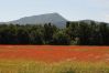 House in Cotignac - La Belle Etoile : seasonal rental in the Green Provence