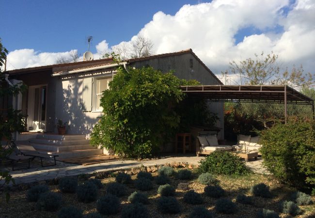 House in Cotignac - Clos des Oliviers : quiet holidays in Provence