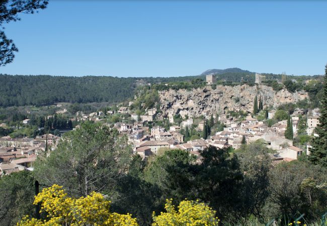 House in Cotignac - Arts & Flores : Seasonal rental in Provence Quiet holidays with Air conditioning, (heated) private pool and WIFI House in Cotignac - Arts & Flores : Seasonal rental in Provence Quiet holidays with Air conditioning, (heated) private pool and WIFI