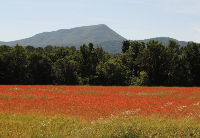 House in Cotignac - Arts & Flores : Seasonal rental in Provence Quiet holidays with Air conditioning, (heated) private pool and WIFI House in Cotignac - Arts & Flores : Seasonal rental in Provence Quiet holidays with Air conditioning, (heated) private pool and WIFI