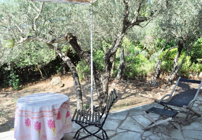 House in Cotignac - Arts & Flores : Seasonal rental in Provence Quiet holidays with Air conditioning, (heated) private pool and WIFI House in Cotignac - Arts & Flores : Seasonal rental in Provence Quiet holidays with Air conditioning, (heated) private pool and WIFI