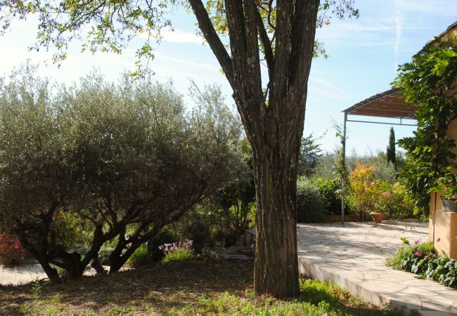 House in Cotignac - Arts & Flores : Quiet holidays with Air conditioning, (heated) private pool and WIFI