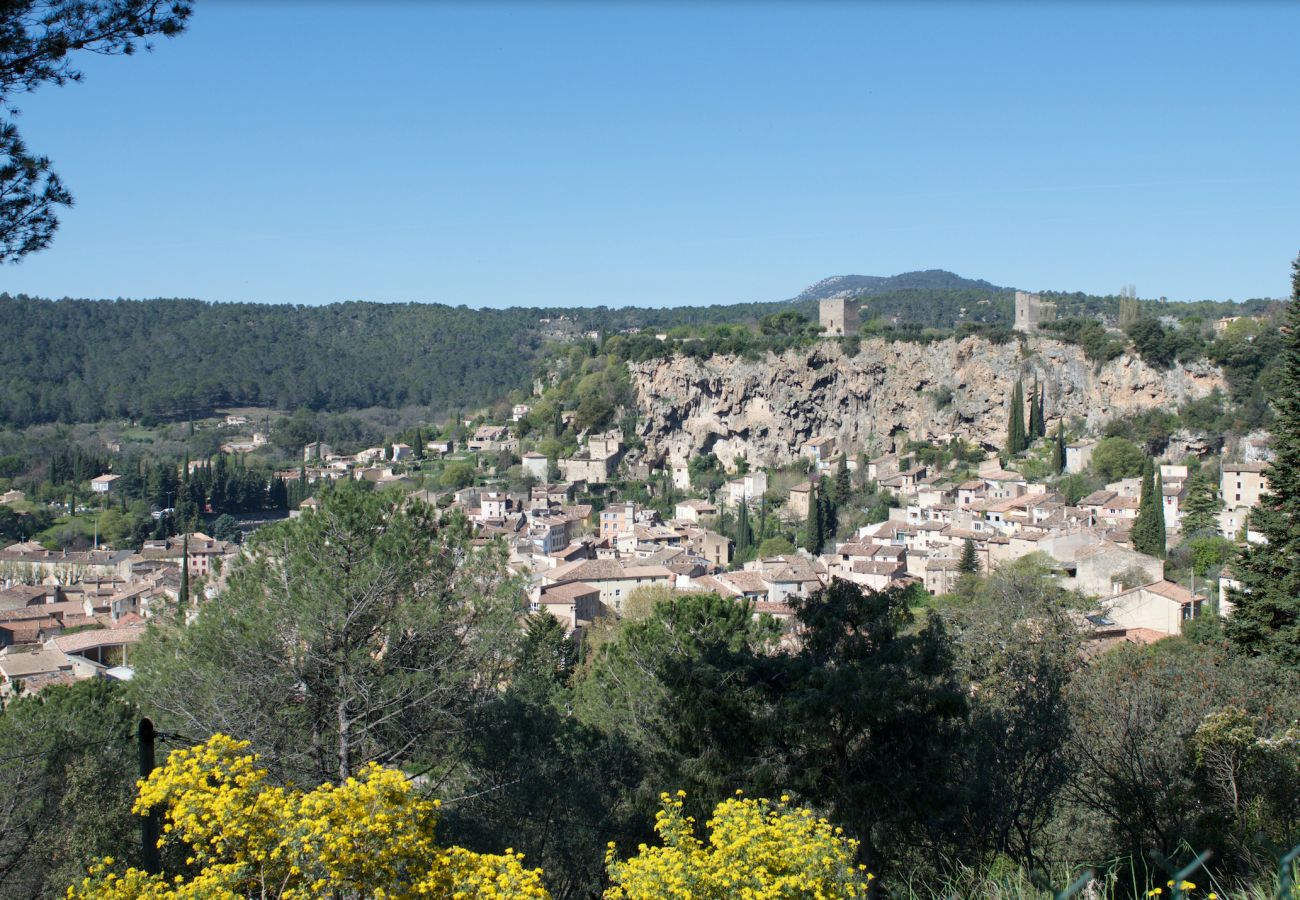 House in Cotignac - Arts & Flores : Seasonal rental in Provence Quiet holidays with Air conditioning, (heated) private pool and WIFI House in Cotignac - Arts & Flores : Seasonal rental in Provence Quiet holidays with Air conditioning, (heated) private pool and WIFI