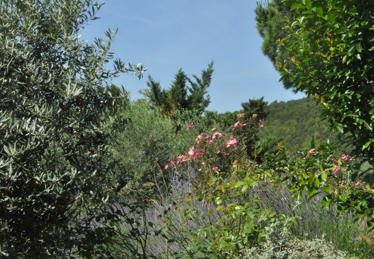 House in Cotignac - Arts & Flores : Seasonal rental in Provence Quiet holidays with Air conditioning, (heated) private pool and WIFI House in Cotignac - Arts & Flores : Seasonal rental in Provence Quiet holidays with Air conditioning, (heated) private pool and WIFI