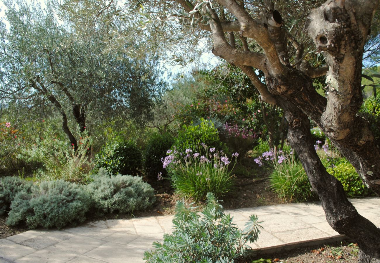 House in Cotignac - Arts & Flores : Seasonal rental in Provence Quiet holidays with Air conditioning, (heated) private pool and WIFI House in Cotignac - Arts & Flores : Seasonal rental in Provence Quiet holidays with Air conditioning, (heated) private pool and WIFI