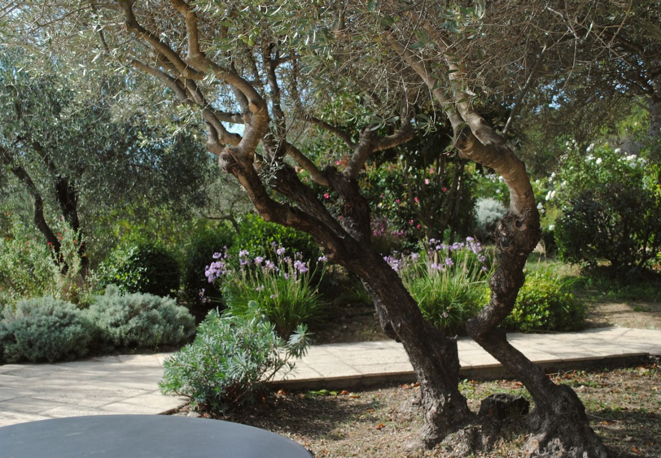 House in Cotignac - Arts & Flores : Seasonal rental in Provence Quiet holidays with Air conditioning, (heated) private pool and WIFI House in Cotignac - Arts & Flores : Seasonal rental in Provence Quiet holidays with Air conditioning, (heated) private pool and WIFI