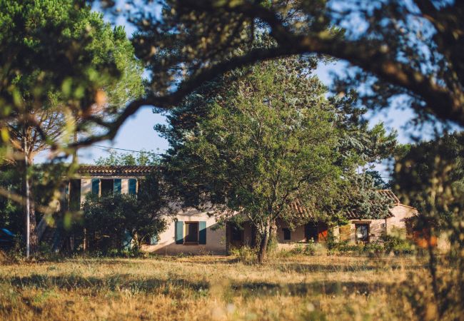 House in Cotignac - Mas du Perigoulier : family holiday in a traditional Provencal style