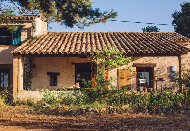 House in Cotignac - Mas du Perigoulier : family holiday in a traditional Provencal style House in Cotignac - Mas du Perigoulier : family holiday in a traditional Provencal style
