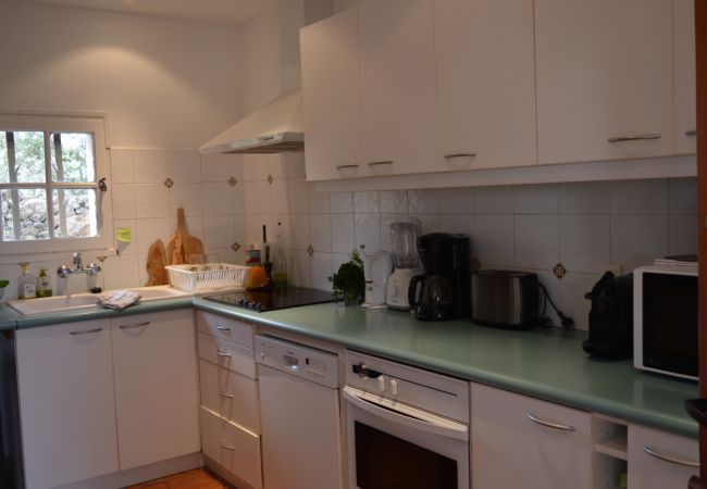 House in Cotignac - Mas du Perigoulier : family holiday in a traditional Provencal style House in Cotignac - Mas du Perigoulier : family holiday in a traditional Provencal style