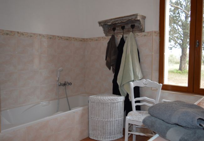 House in Cotignac - Mas du Perigoulier : family holiday in a traditional Provencal style House in Cotignac - Mas du Perigoulier : family holiday in a traditional Provencal style