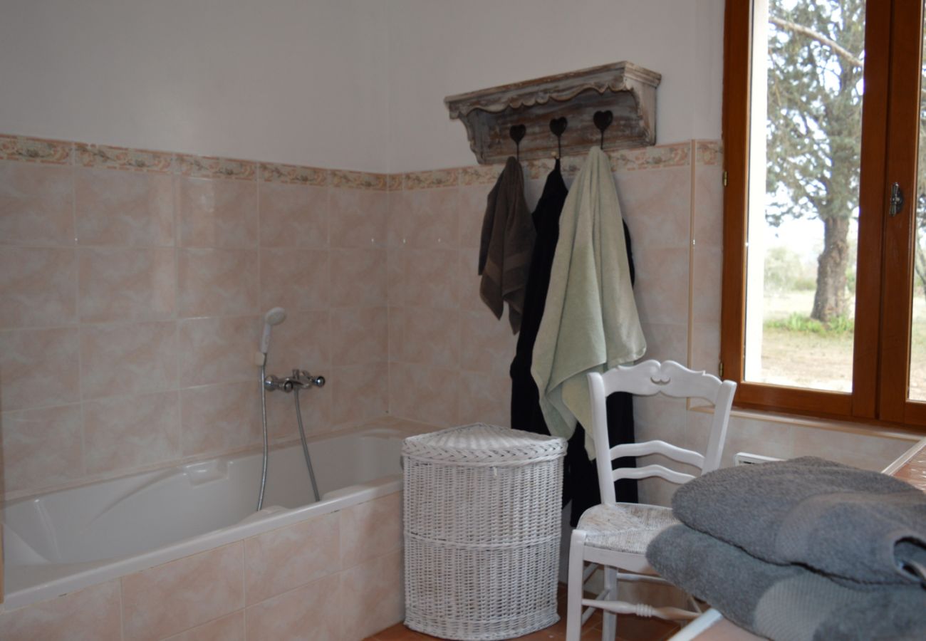 House in Cotignac - Mas du Perigoulier : family holiday in a traditional Provencal style House in Cotignac - Mas du Perigoulier : family holiday in a traditional Provencal style