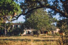 House in Cotignac - Mas du Perigoulier : family holiday in a traditional Provencal style