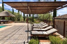 Villa in Cotignac - Li Sian Ben :  Holiday of charm in the heart of the vineyard