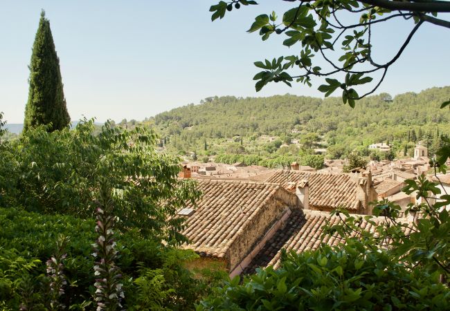 House in Cotignac - Maison Perchée : private pool, aircon, walking distance to shops and restaurants