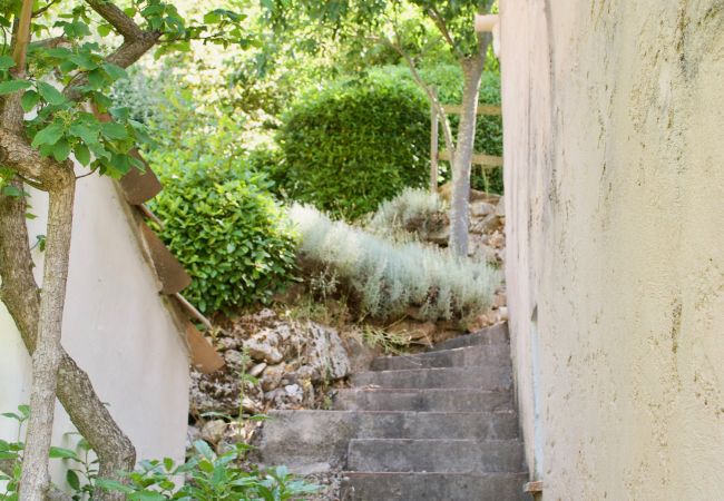 House in Cotignac - Maison Perchée : private pool, aircon, walking distance to shops and restaurants