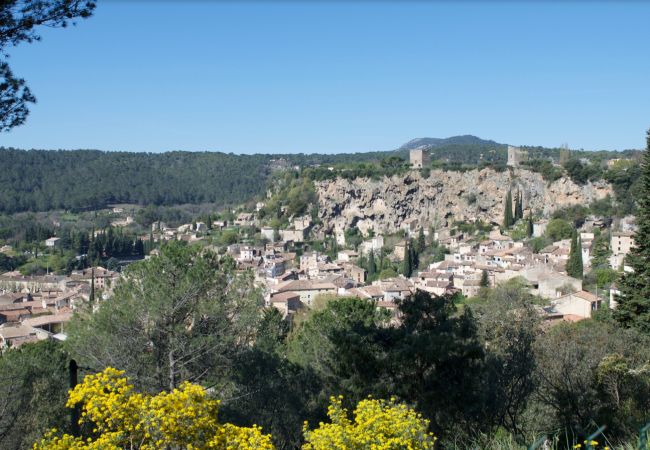 House in Cotignac - Maison Perchée : private pool, aircon, walking distance to shops and restaurants
