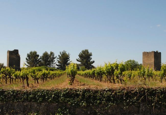 House in Cotignac - Maison Perchée : private pool, aircon, walking distance to shops and restaurants