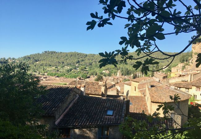 House in Cotignac - Maison Perchée : private pool, aircon, walking distance to shops and restaurants