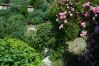 House in Cotignac - Maison Perchée : private pool, aircon, walking distance to shops and restaurants