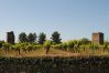 House in Cotignac - Maison Perchée : private pool, aircon, walking distance to shops and restaurants
