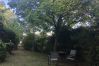 House in Cotignac - Maison Perchée : private pool, aircon, walking distance to shops and restaurants