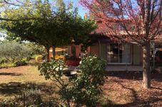 Villa in Cotignac - L'oasis : New 2023 with airco - wifi - private Pool