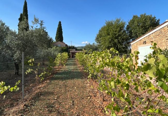 Villa in Cotignac - The 8 Clos, gorgeous property with private pool in Cotignac Villa in Cotignac - The 8 Clos, gorgeous property with private pool in Cotignac