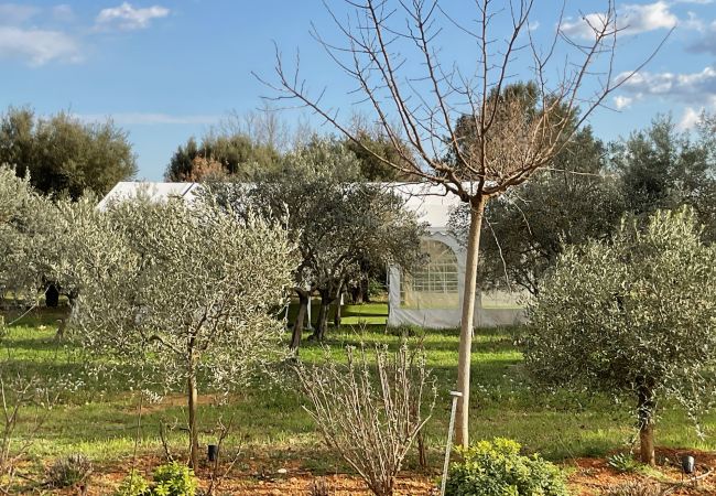 Villa in Cotignac - The 8 Clos, gorgeous property with private pool in Cotignac Villa in Cotignac - The 8 Clos, gorgeous property with private pool in Cotignac