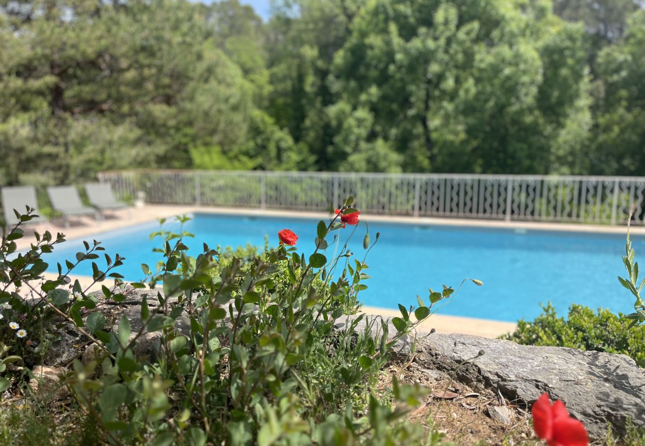 House in Cotignac - Campagne la Rivière, bucolic setting for 4 to 6 people, private pool, wifi